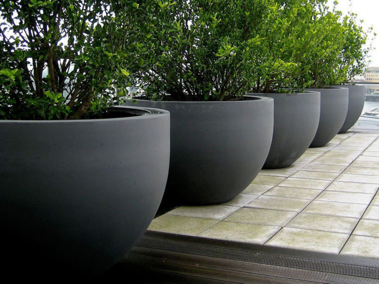 Saksı CTP Polyester Kaplama